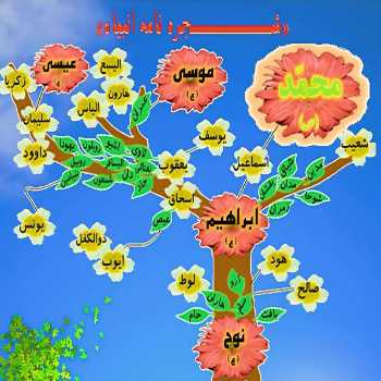 آدم علیه‌السلام و فرزندان ایشان | دوره نوجوان